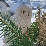 Zwei Welten * Sachsenburg