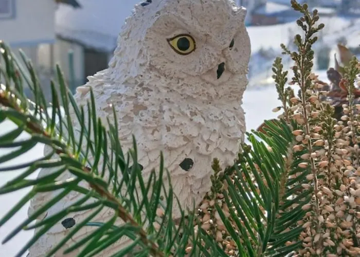 Zwei Welten * Sachsenburg